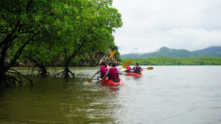 Ao Thalane : Kayak au Cœur des Mangroves