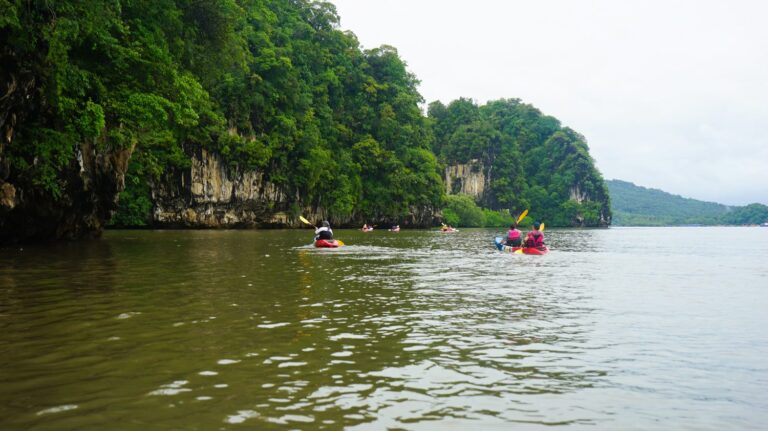 Ao Thalane : Kayak au Cœur des Mangroves