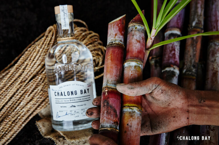 Chalong Bay : Rhum de Canne & Mixologie