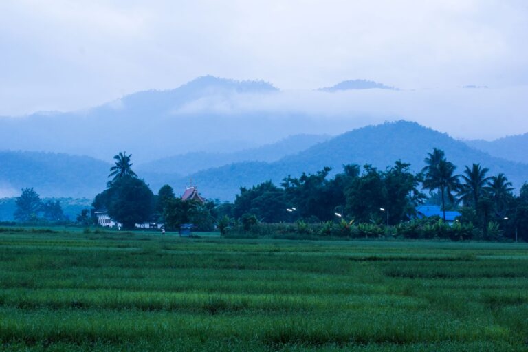 Khum Lanna : Riz, Cuisine & Art de Vivre dans la Campagne de Chiang Mai