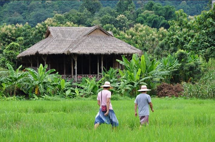 Lisu Lodge : Une Parenthèse dans les Hautes Terres de Chiang Mai