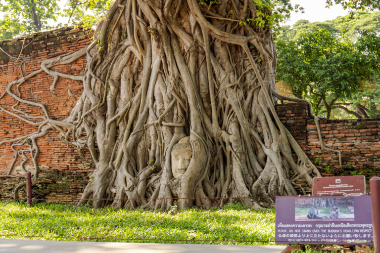 Ayutthaya Royale : Palais de Bang Pa-In & Temples de l’Ancienne Capitale